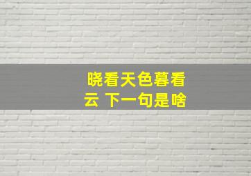 晓看天色暮看云 下一句是啥